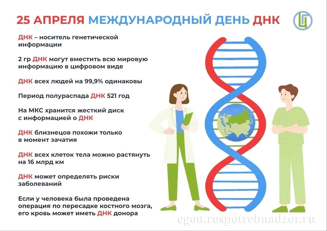 Выставка моделей молекулы ДНК.